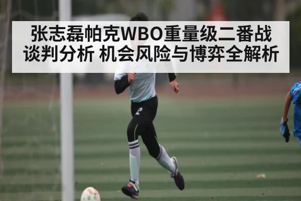 张志磊帕克WBO重量级二番战谈判分析 机会风险与博弈全解析