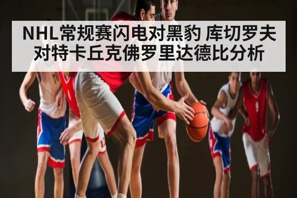 NHL常规赛闪电对黑豹 库切罗夫对特卡丘克佛罗里达德比分析
