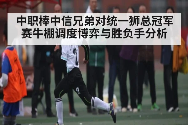 中职棒中信兄弟对统一狮总冠军赛牛棚调度博弈与胜负手分析